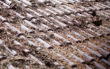 Budleigh Salterton roof cleaning companies