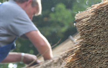 professional Budleigh Salterton thatchers